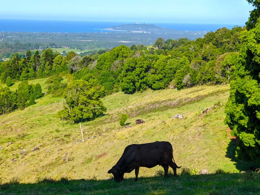 From Brisbane: Byron Bay, Bangalow, and Gold Coast Day Tour - Free time in Byron Bay