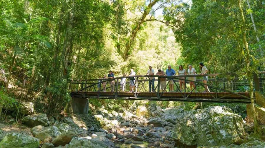 From Brisbane: Gold Coast Day Tour with Lunch - Who will enjoy this Gold Coast day tour