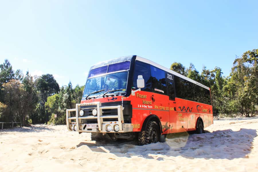 From Brisbane: Moreton Island Full-Day Trip - Lunch on the beach and the short reset
