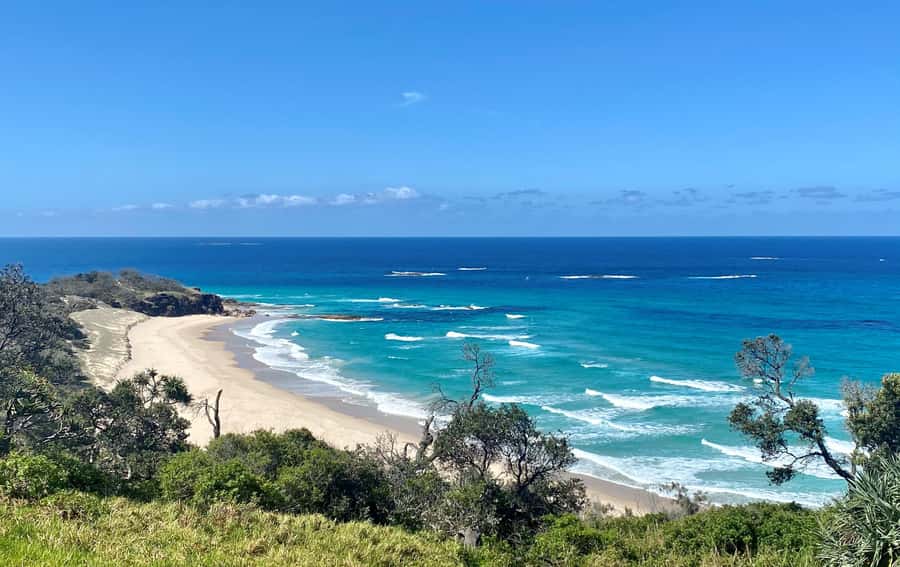 From Brisbane: North Stradbroke Island Wildlife Adventure - Key points to know before booking