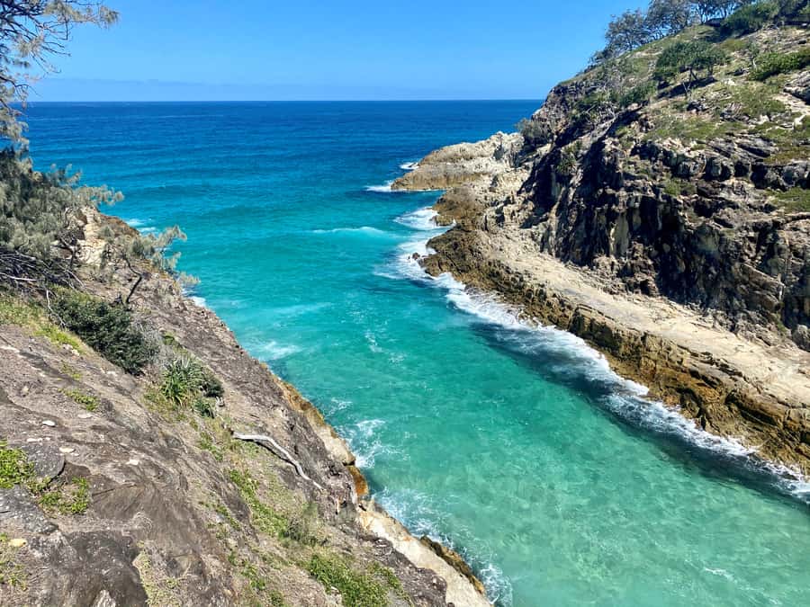 From Brisbane: North Stradbroke Island Wildlife Adventure - Why North Stradbroke Island makes a strong Brisbane day trip