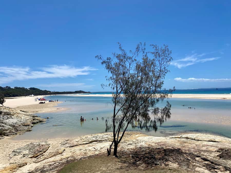 From Brisbane: North Stradbroke Island Wildlife Adventure - Brown Lake, where freshwater turns tea brown