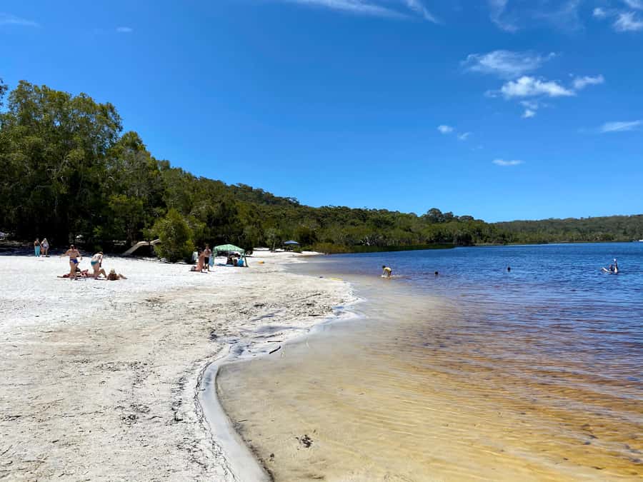 From Brisbane: North Stradbroke Island Wildlife Adventure - Point Lookout lunch and the practical side of eating
