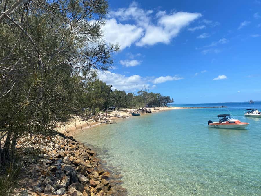 From Brisbane: North Stradbroke Island Wildlife Adventure - Guides, group size, and the feel of the day