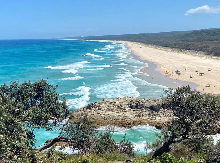 From Brisbane: North Stradbroke Island Wildlife Adventure - The early start and ferry crossing from Brisbane