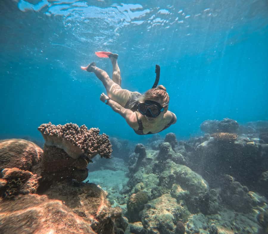 From Cairns: 2 Islands 1 day - Fitzroy & Green Islands - Fitzroy Island: rainforest, beach, and reef choices