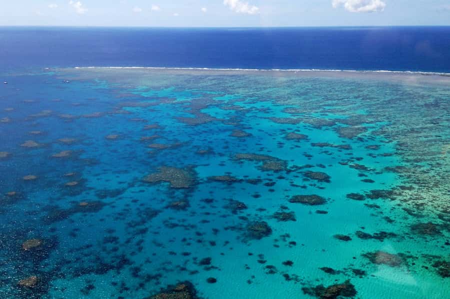 From Cairns: 40-Min Scenic Reef Window Seat Airplane Flight - The route over Green Island and the outer reef