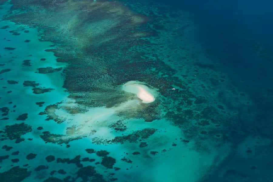 From Cairns: 40-Min Scenic Reef Window Seat Airplane Flight - Pickup, check-in, and the real time commitment