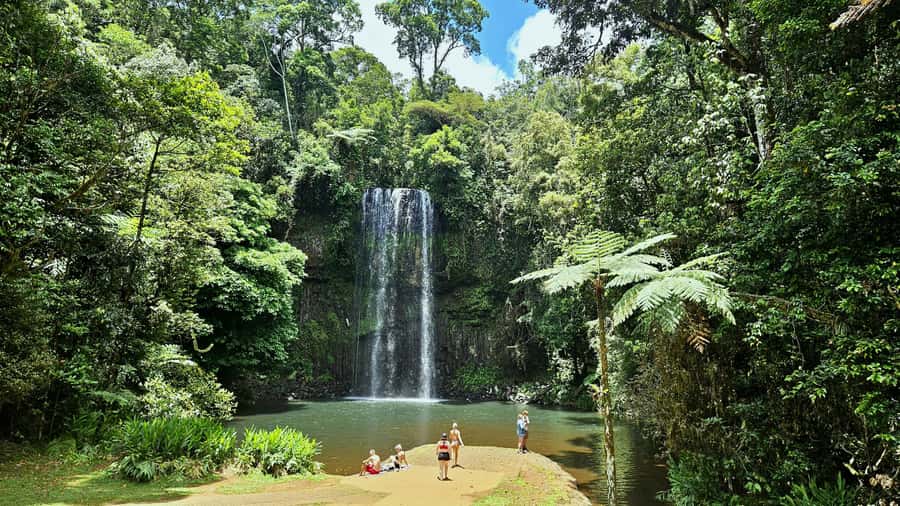 From Cairns: Atherton Tablelands and Paronella Park Day Trip - Key points to know before booking