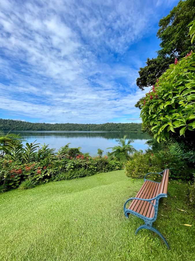 From Cairns: Atherton Tablelands and Paronella Park Day Trip - Yungaburra, the Curtain Fig Tree, and small details