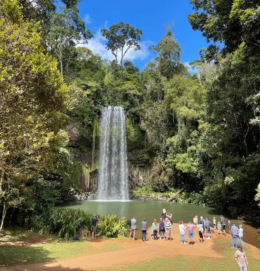 From Cairns: Atherton Tablelands and Paronella Park Day Trip - Millaa Millaa Falls is the day’s best swim