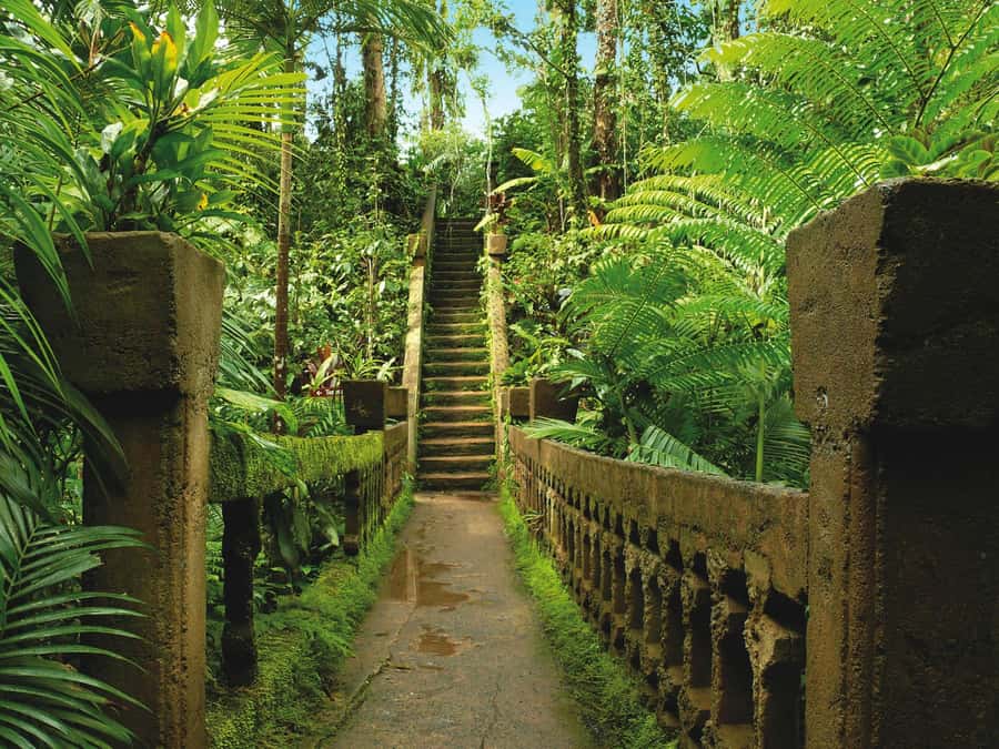 From Cairns: Atherton Tablelands and Paronella Park Day Trip - Babinda Boulders is a bonus, not a promise