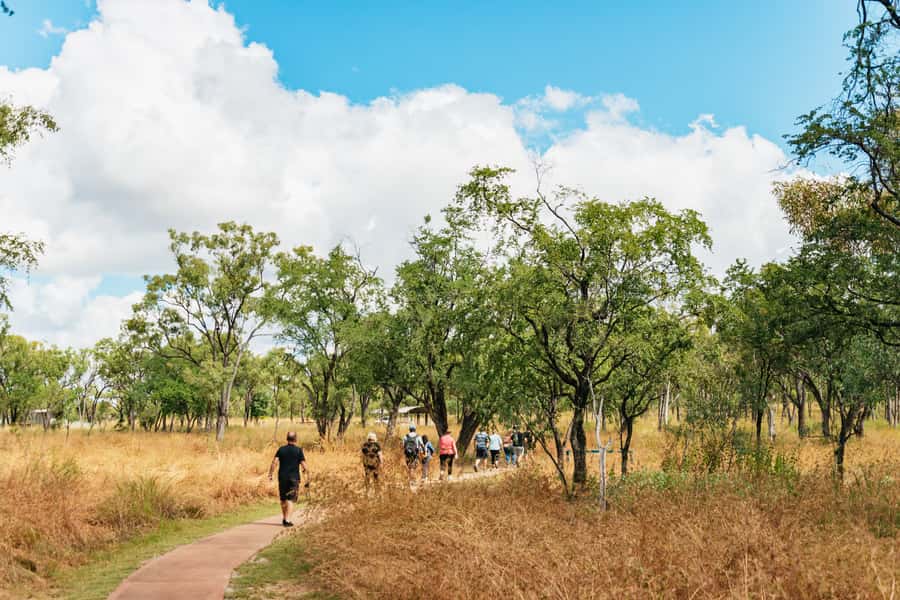From Cairns: Chillagoe Caves and Outback Full-Day Tour - Why Chillagoe makes a good change from Cairns