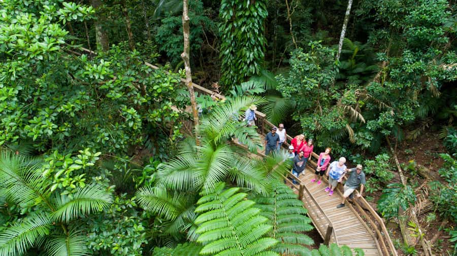 From Cairns: Daintree Rainforest & Cape Tribulation 4WD Tour - The long northern road from Cairns