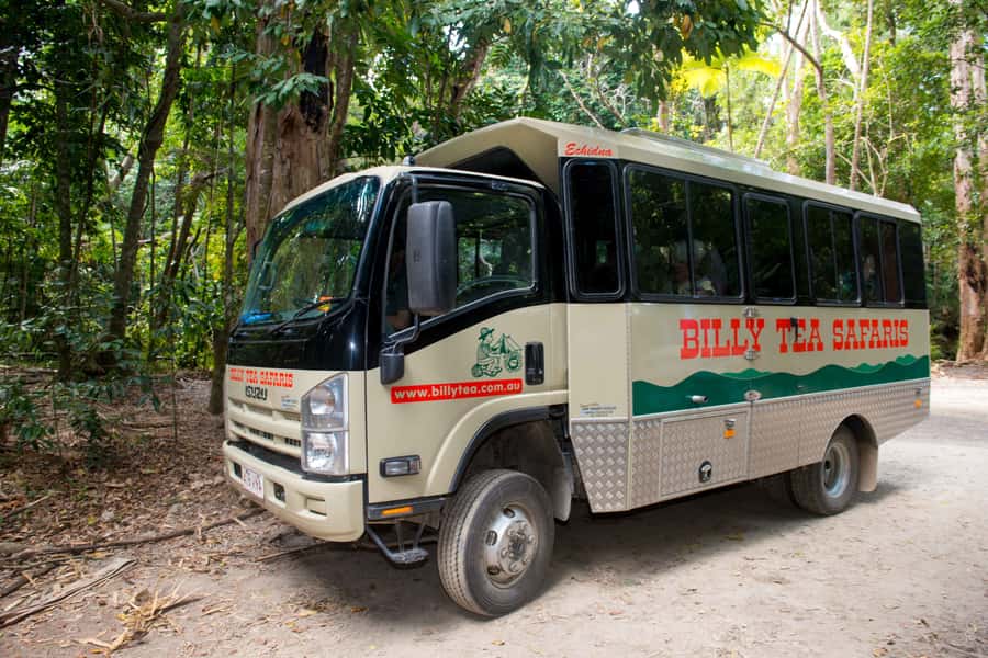 From Cairns: Daintree Rainforest & Cape Tribulation 4WD Tour - A short walk into an ancient rainforest