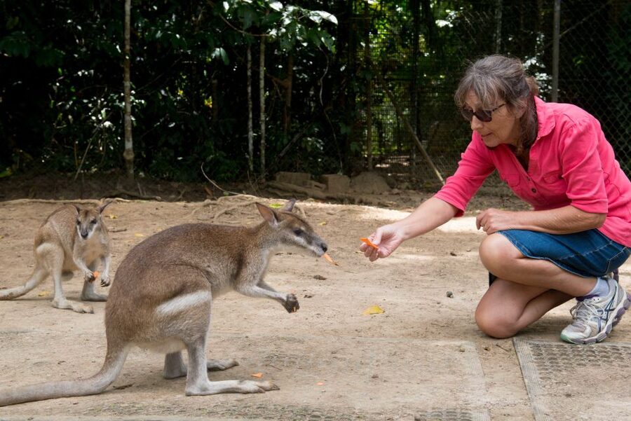 From Cairns: Daintree Rainforest & Cape Tribulation 4WD Tour - Lunch, followed by freshwater