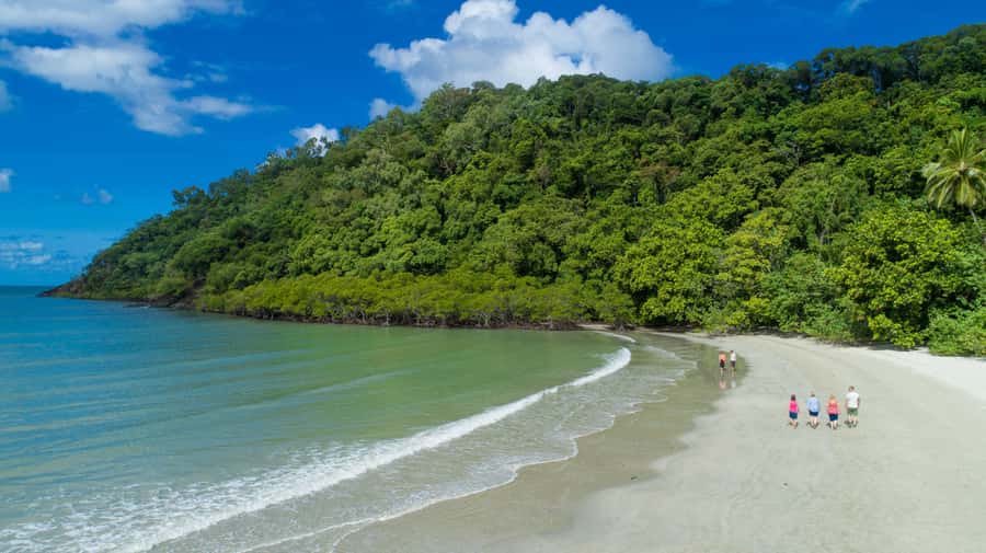 From Cairns: Daintree Rainforest & Cape Tribulation 4WD Tour - The Daintree Ice Cream Company finale