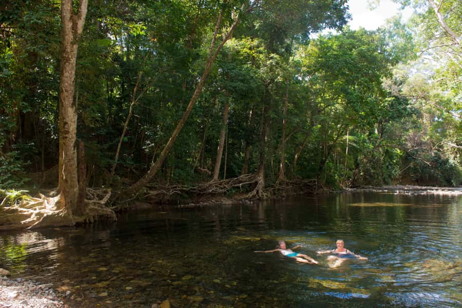 From Cairns: Daintree Rainforest & Cape Tribulation 4WD Tour - Is $162 good value?