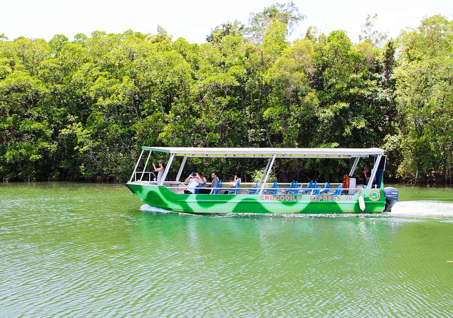 From Cairns: Daintree Wilderness & Cape Tribulation Bus Tour - Key points at a glance