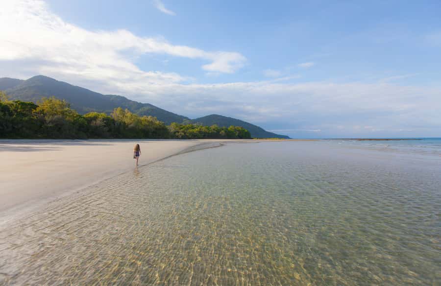 From Cairns: Daintree Wilderness & Cape Tribulation Bus Tour - Why this tour works for a first Daintree visit