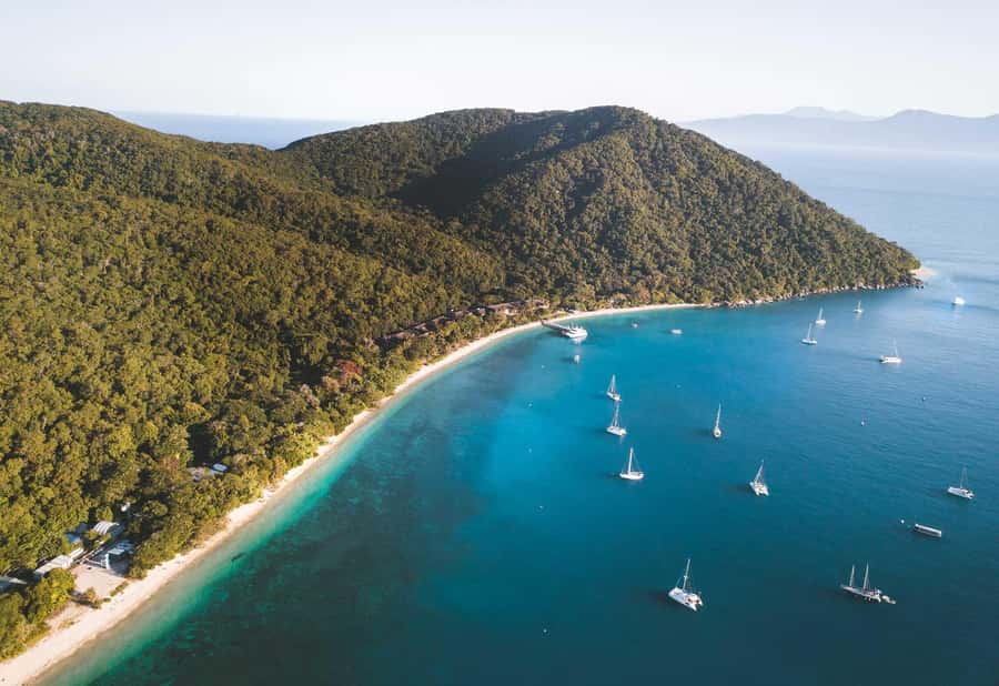 From Cairns: Fitzroy Island Day Trip by Ferry - Rainforest trails and the summit walk