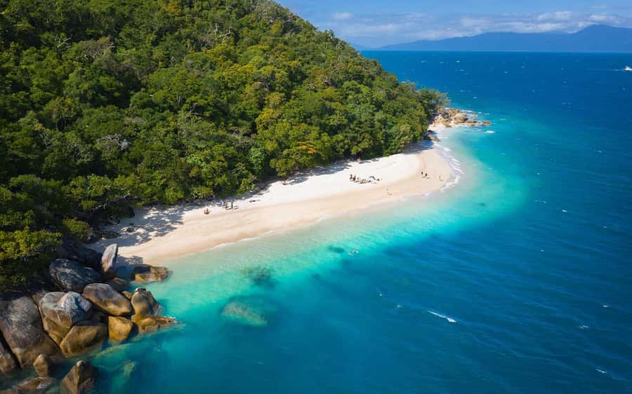 From Cairns: Fitzroy Island Day Trip by Ferry - Snorkeling in clear water at Welcome Bay