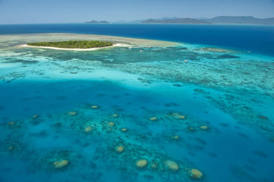 From Cairns: Full-Day Green Island Cruise - Green Island in four useful points