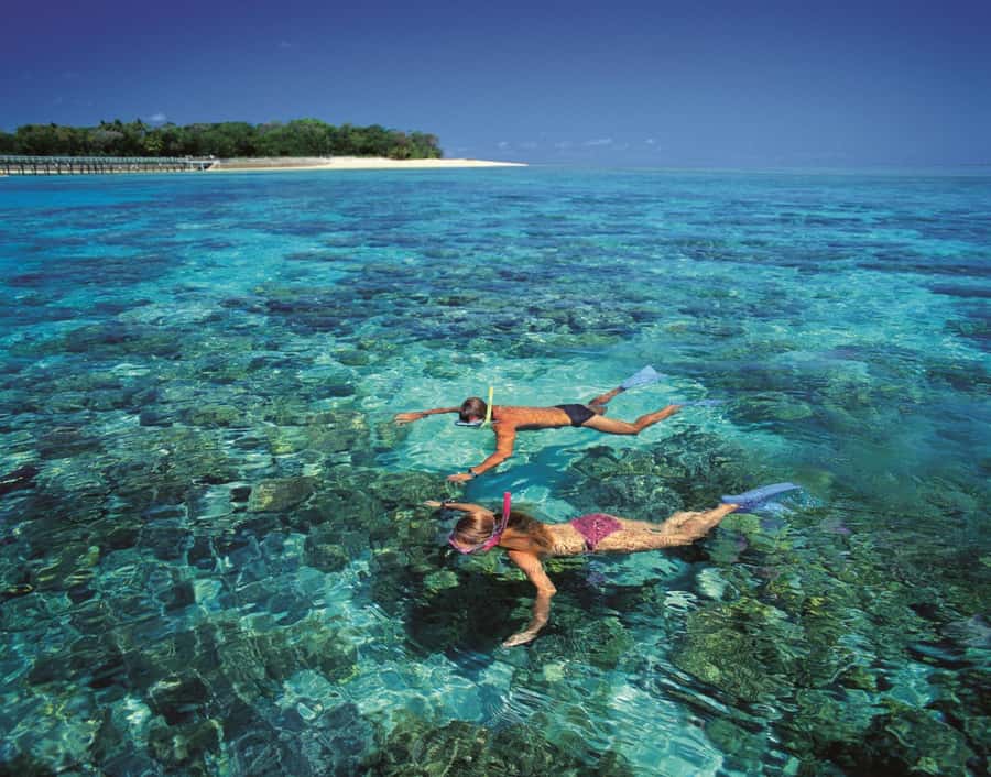From Cairns: Full-Day Green Island Cruise - Why Green Island works as a first reef day
