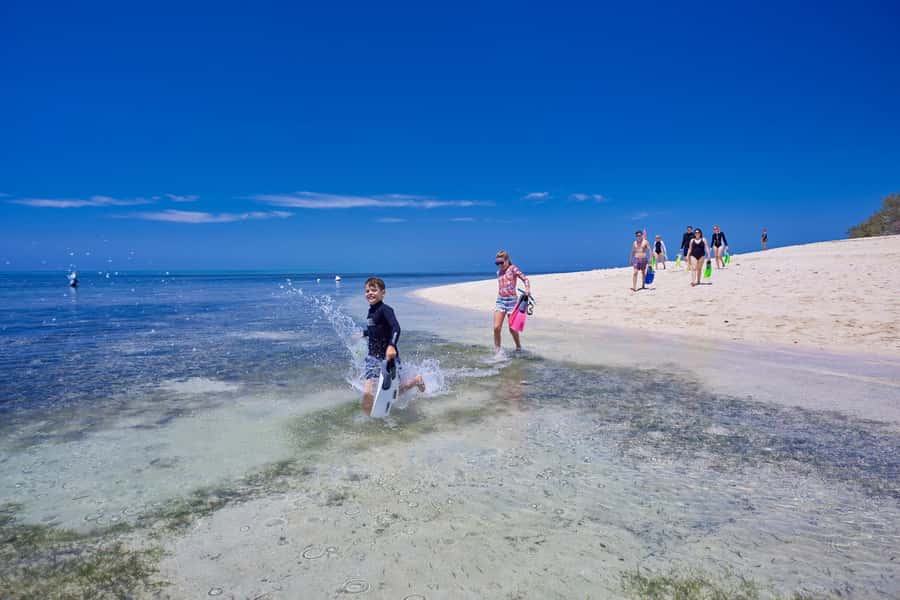 From Cairns: Full-Day Green Island Cruise - How much value do you get for $77?