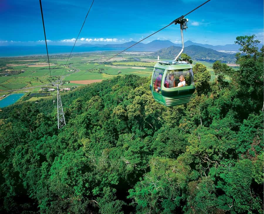 From Cairns: Full-Day Kuranda Army Duck Experience Tour - Three ways to see the Kuranda rainforest