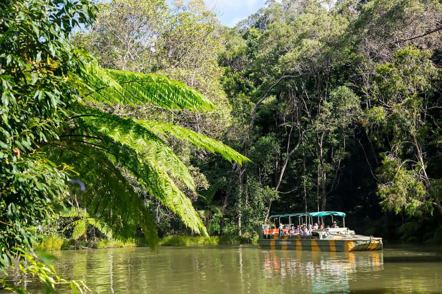 From Cairns: Full-Day Kuranda Army Duck Experience Tour - Rainforestation and the Army Duck