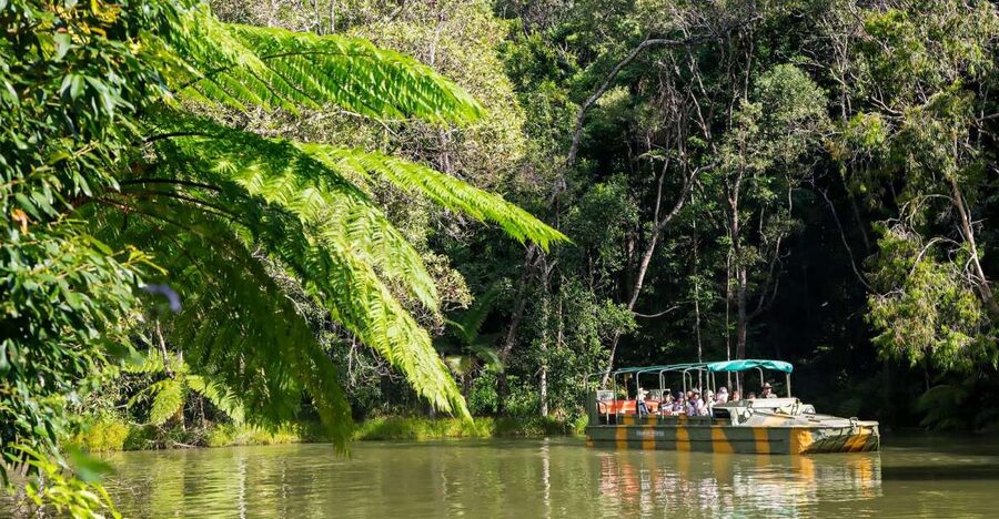 From Cairns: Full-Day Kuranda Army Duck Experience Tour - Tropical Treats and the Rainforestation stop