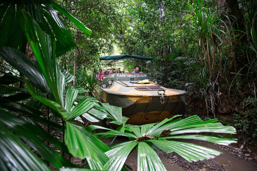 From Cairns: Full-Day Kuranda Army Duck Experience Tour - Returning on the Kuranda Scenic Railway