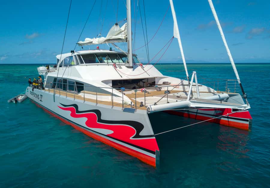 From Cairns: Great Barrier Reef Cruise by Premium Catamaran - Key points at a glance