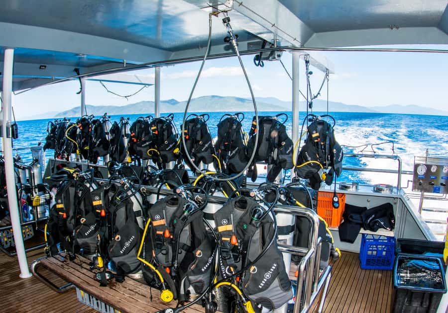 From Cairns: Great Barrier Reef Cruise by Premium Catamaran - Who should book this Cairns reef cruise?