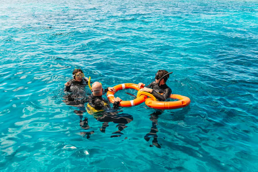 From Cairns: Great Barrier Reef Cruise by Premium Catamaran - Why the two-reef plan matters