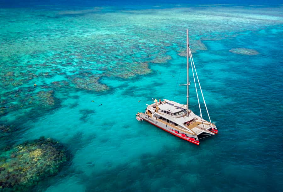 From Cairns: Great Barrier Reef Cruise by Premium Catamaran - The first reef session: guidance without pressure
