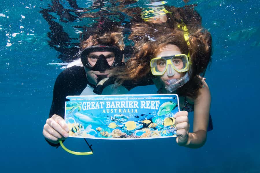 From Cairns: Great Barrier Reef Cruise by Premium Catamaran - The second reef stop and the trip home