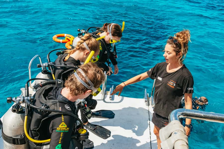 From Cairns: Great Barrier Reef Cruise by Premium Catamaran - Eco learning that adds meaning to the reef