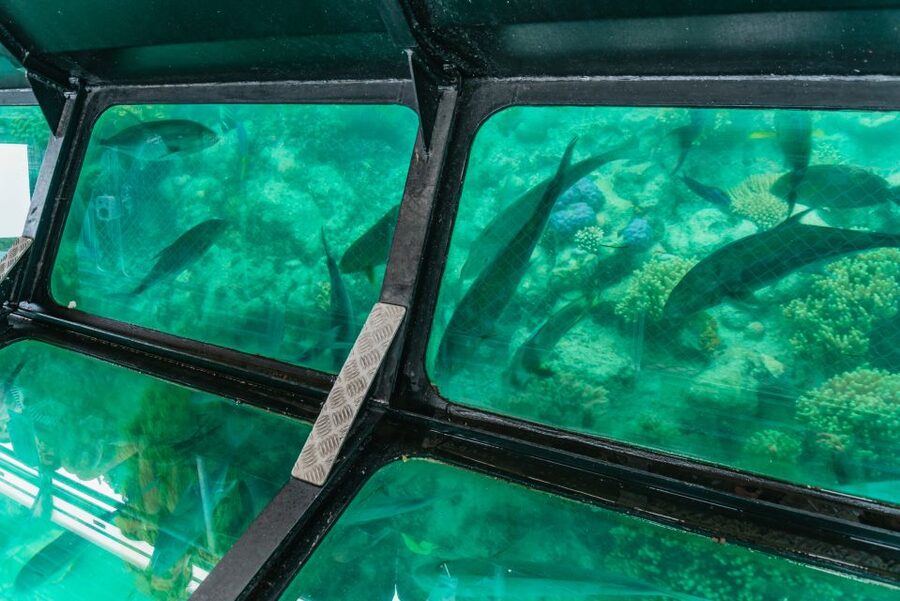 From Cairns: Green Island Full-Day Cruise - Lunch choices and the value of the package