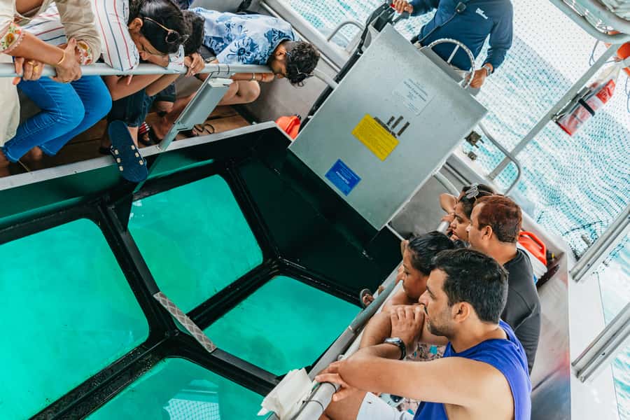 From Cairns: Green Island Full-Day Cruise - Who will get the most from this cruise