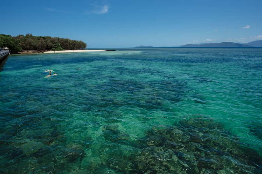 From Cairns: Green Island Half-Day Morning Cruise - Choosing Between Snorkeling and Glass-Bottom Viewing
