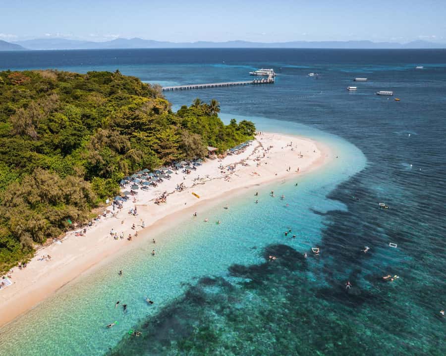 From Cairns: Half-Day Afternoon Cruise to Green Island - What the reef may look like on the day