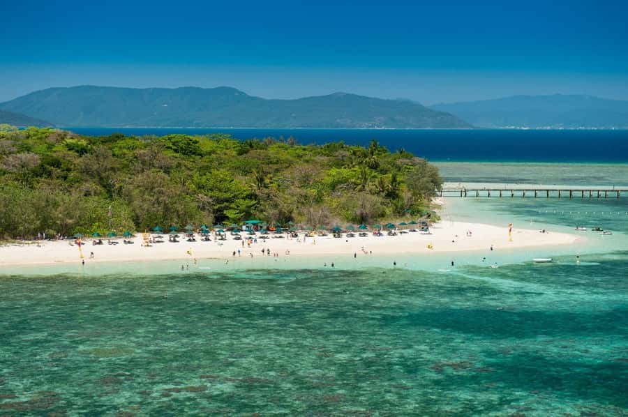From Cairns: Half-Day Afternoon Cruise to Green Island - How to use your 2 hours and 15 minutes