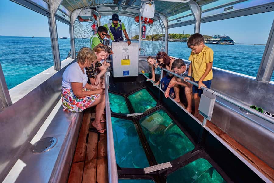 From Cairns: Half-Day Afternoon Cruise to Green Island - Who will enjoy this Cairns outing most?