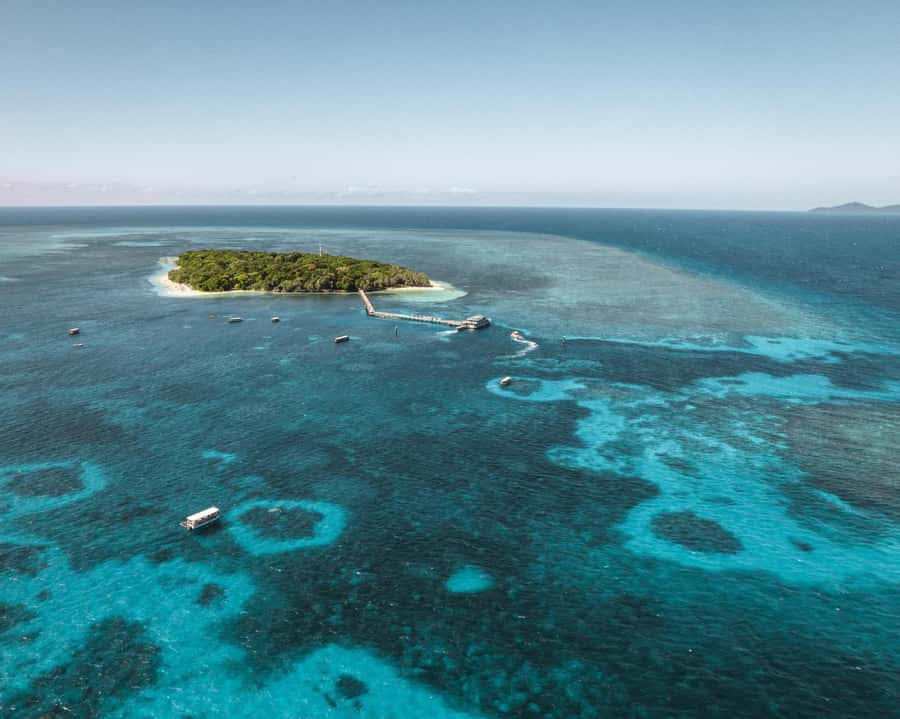 From Cairns: Half-Day Afternoon Cruise to Green Island - Choosing snorkeling or the glass-bottom boat