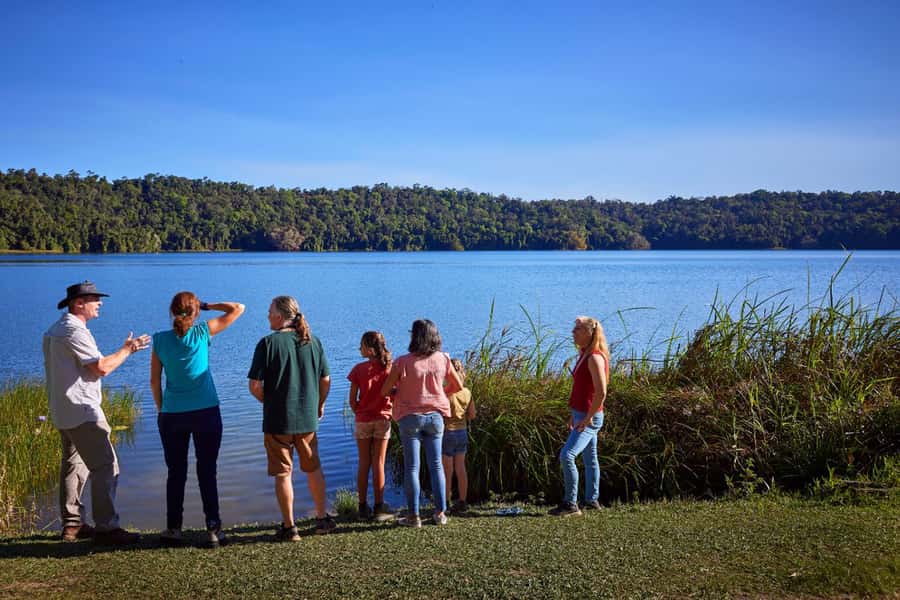 From Cairns: Rainforest & Nocturnal Wildlife Tour - Timing, comfort, and who should book