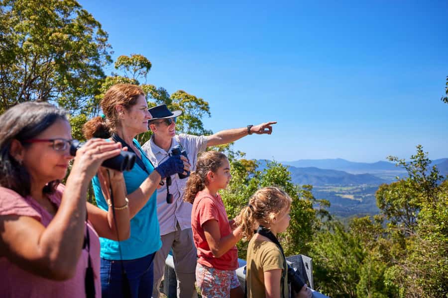 From Cairns: Rainforest & Nocturnal Wildlife Tour - Why this is more than a standard Cairns rainforest trip