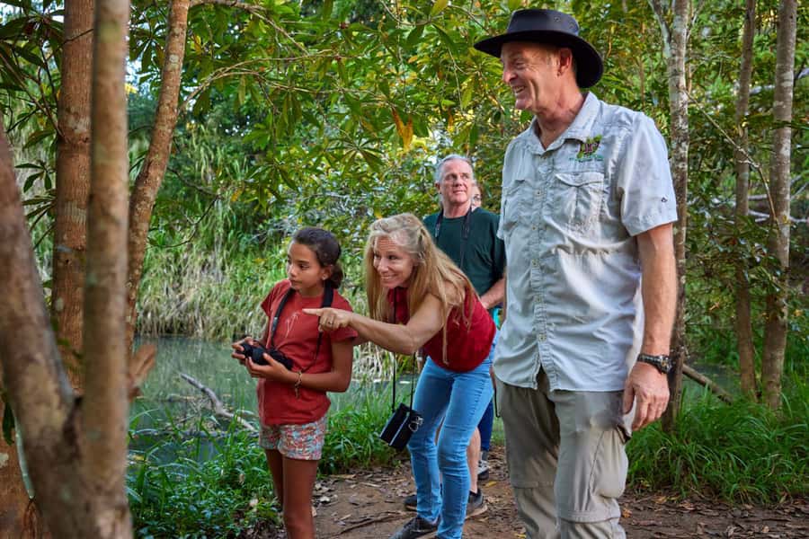 From Cairns: Rainforest & Nocturnal Wildlife Tour - Wallabies, giant figs, and the first forest walk