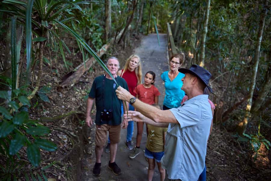 From Cairns: Rainforest & Nocturnal Wildlife Tour - Lake Barrine and afternoon tea